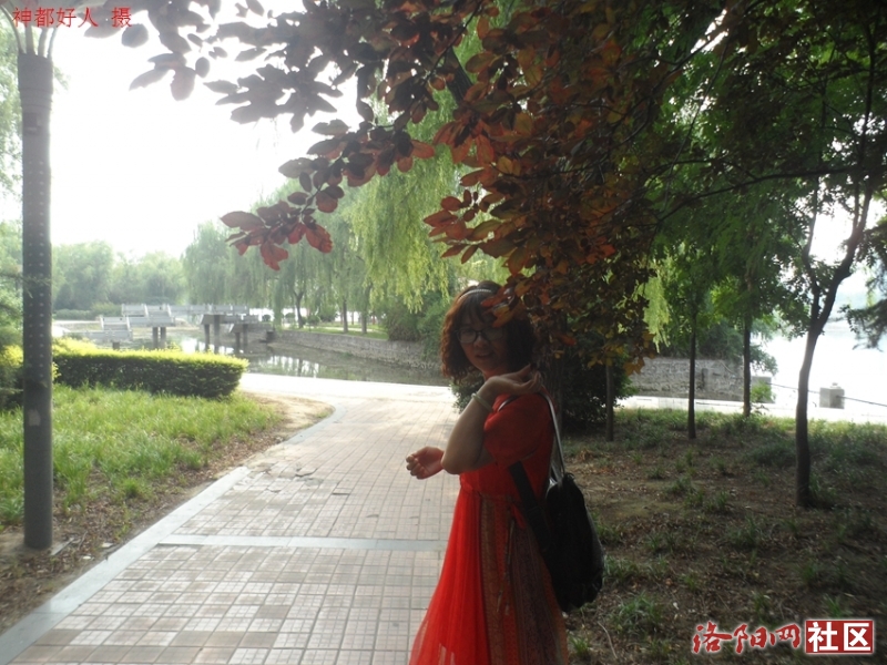 SAM_0717.JPG