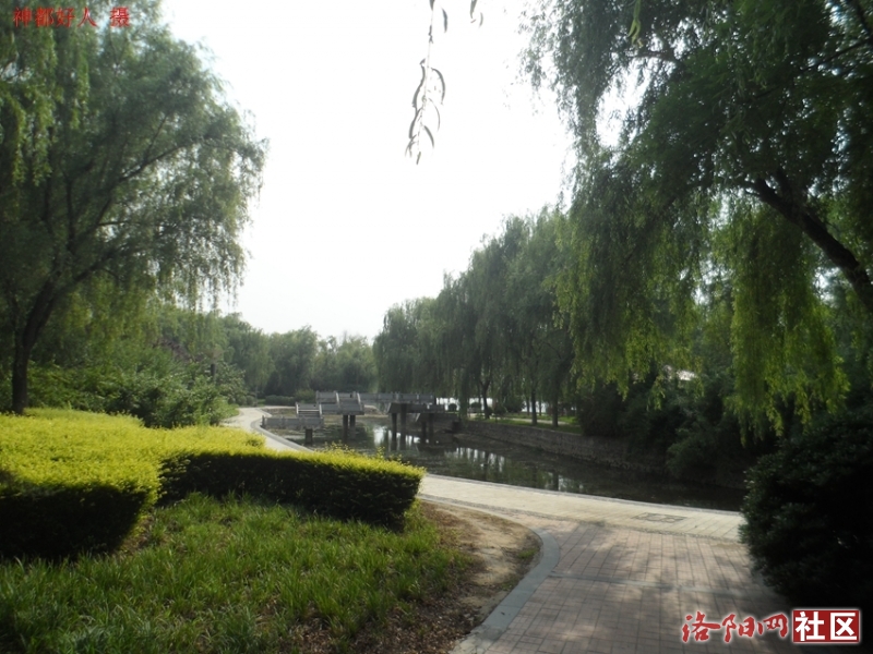 SAM_0720.JPG