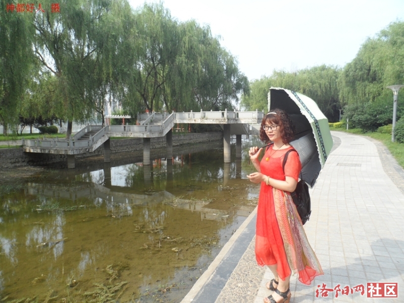 SAM_0729.JPG