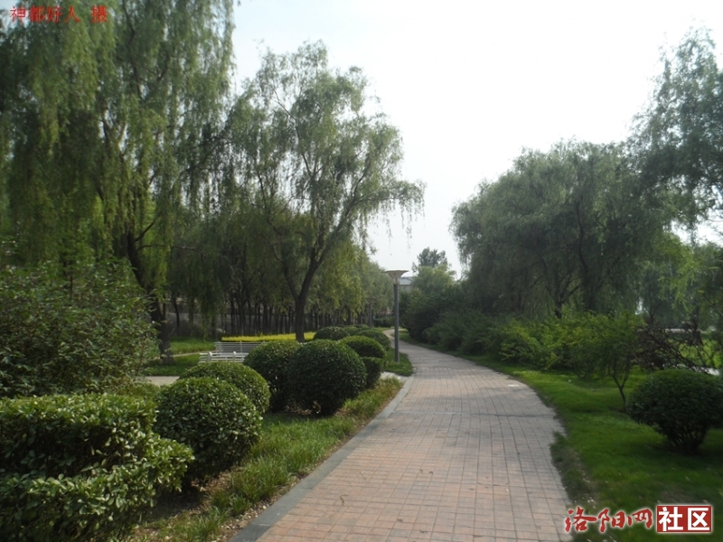 SAM_0738.JPG