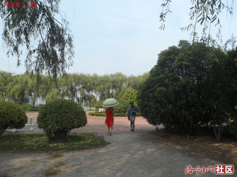 SAM_0742.JPG