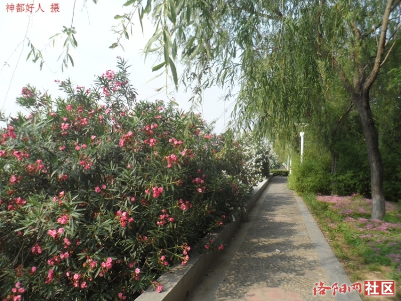 SAM_0744.JPG