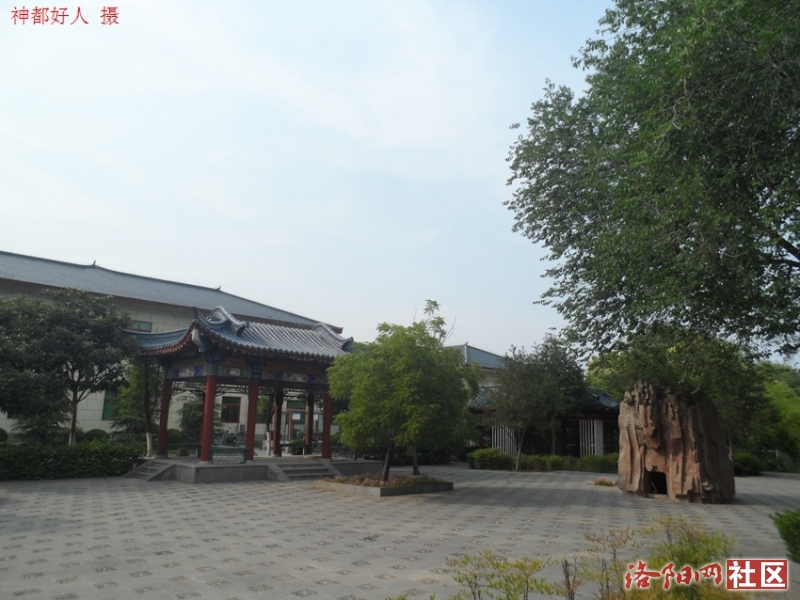 SAM_0748.JPG
