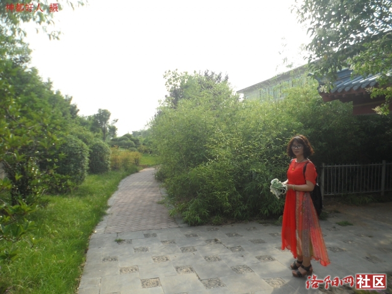 SAM_0750.JPG