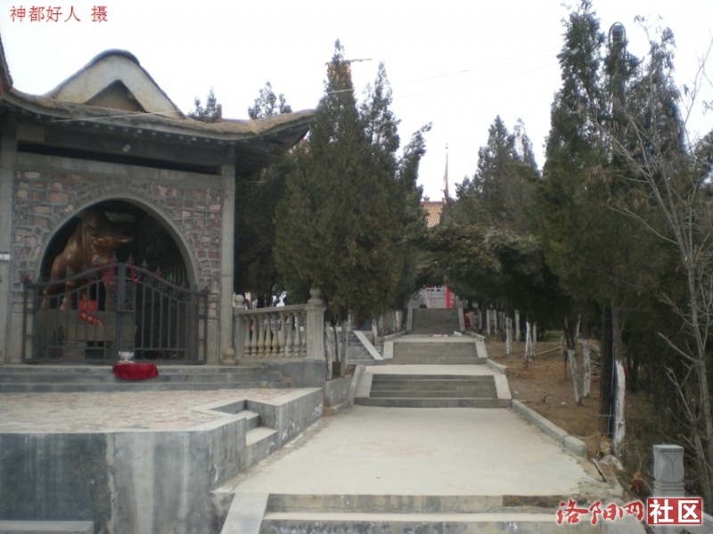 DSCN2490.JPG