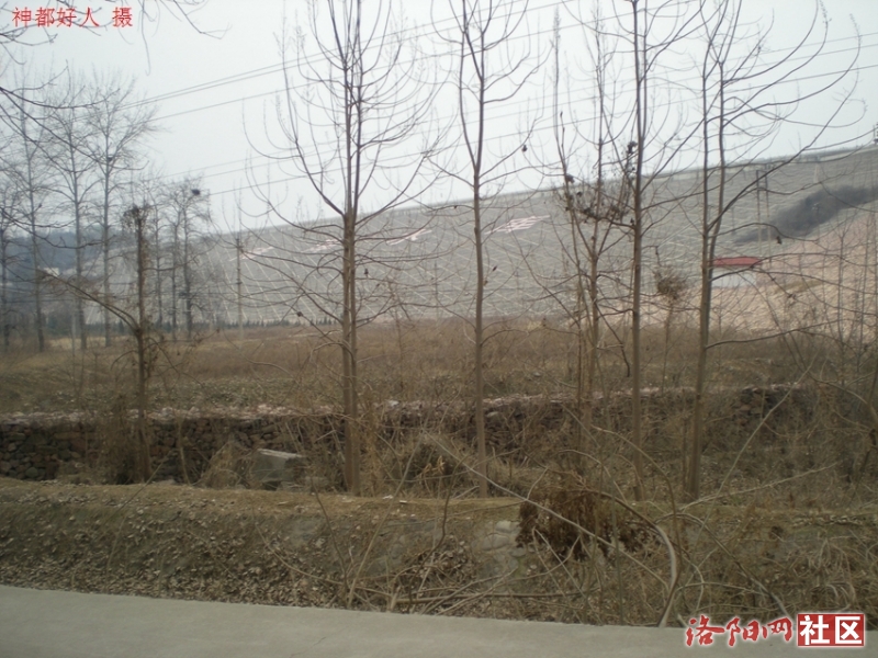 DSCN2529.JPG