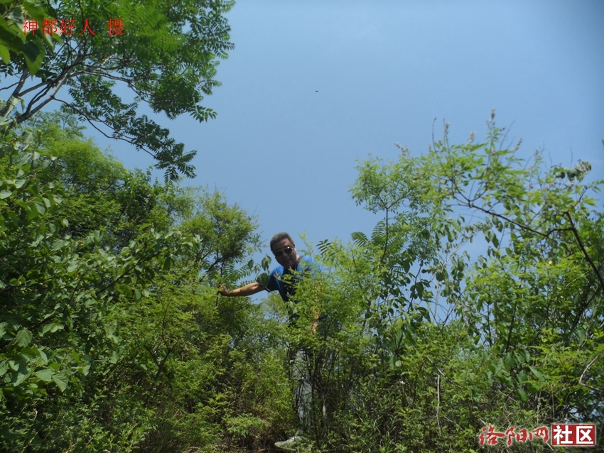 SAM_1170.JPG