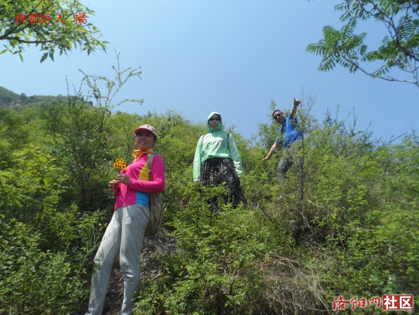 SAM_1168.JPG