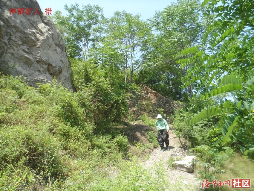 SAM_1174.JPG