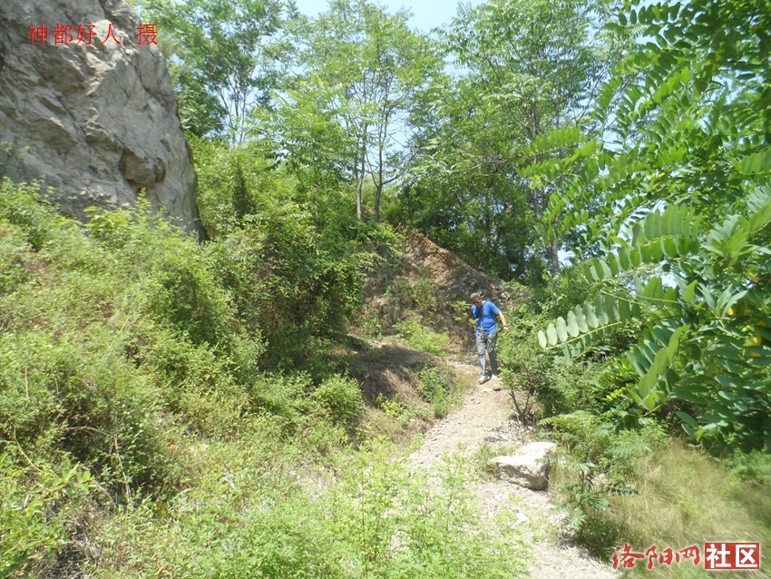 SAM_1176.JPG