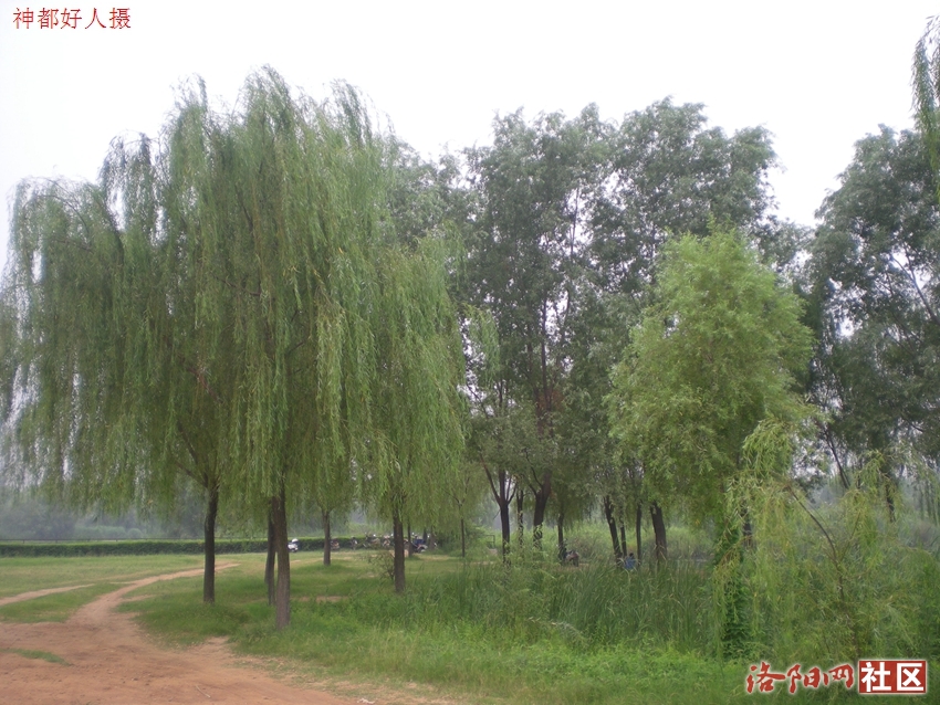 DSCN4070.JPG