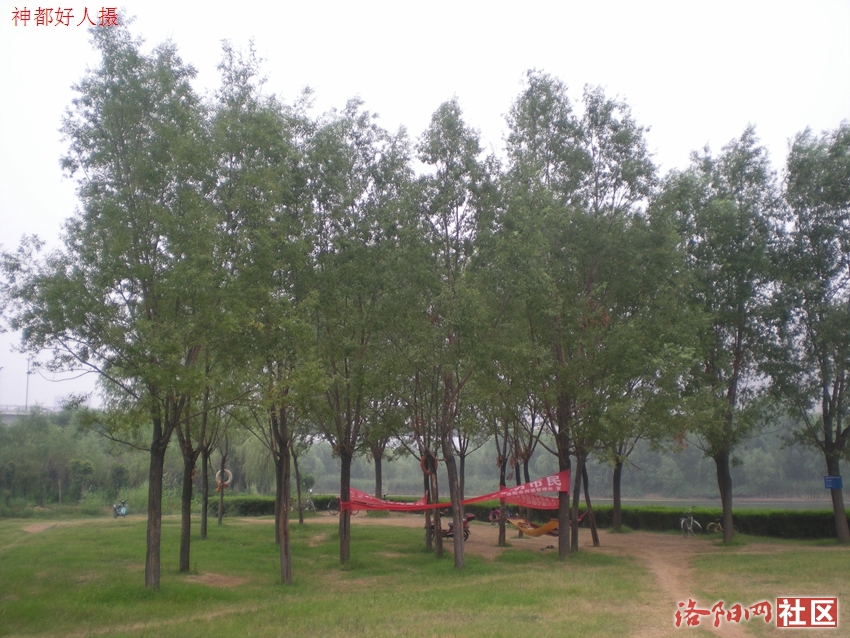 DSCN4071.JPG