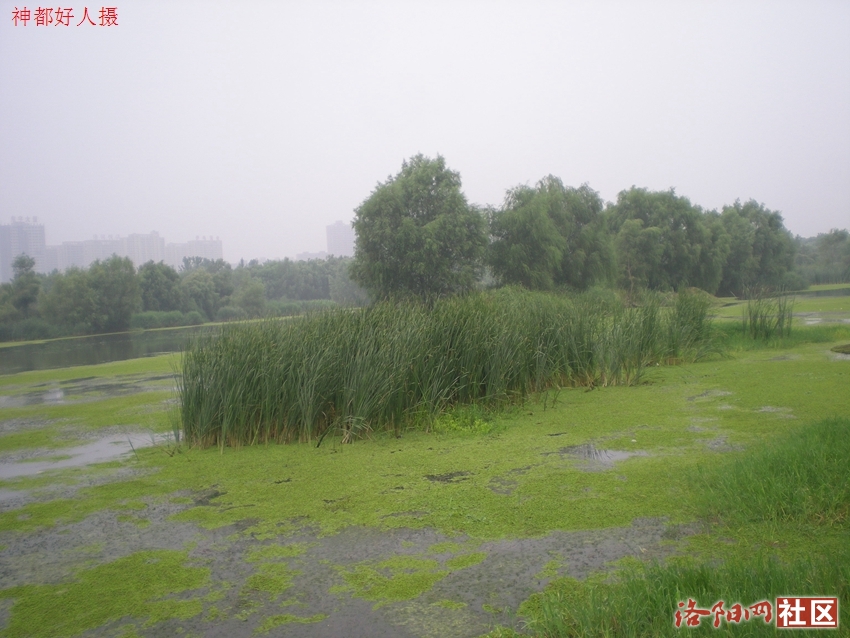 DSCN4076.JPG