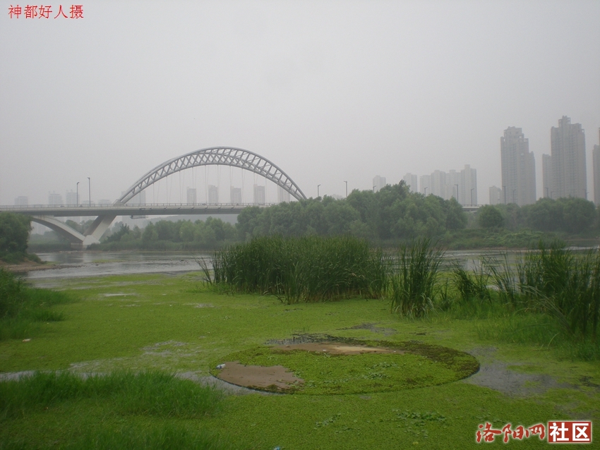 DSCN4078.JPG