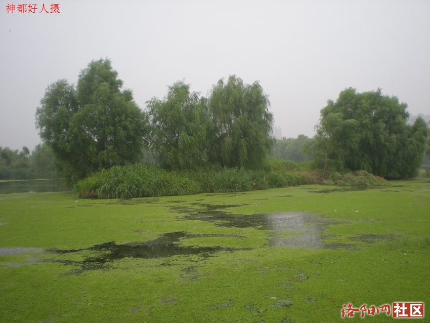 DSCN4080.JPG