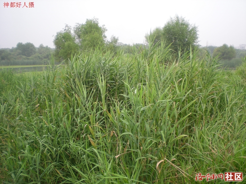 DSCN4081.JPG