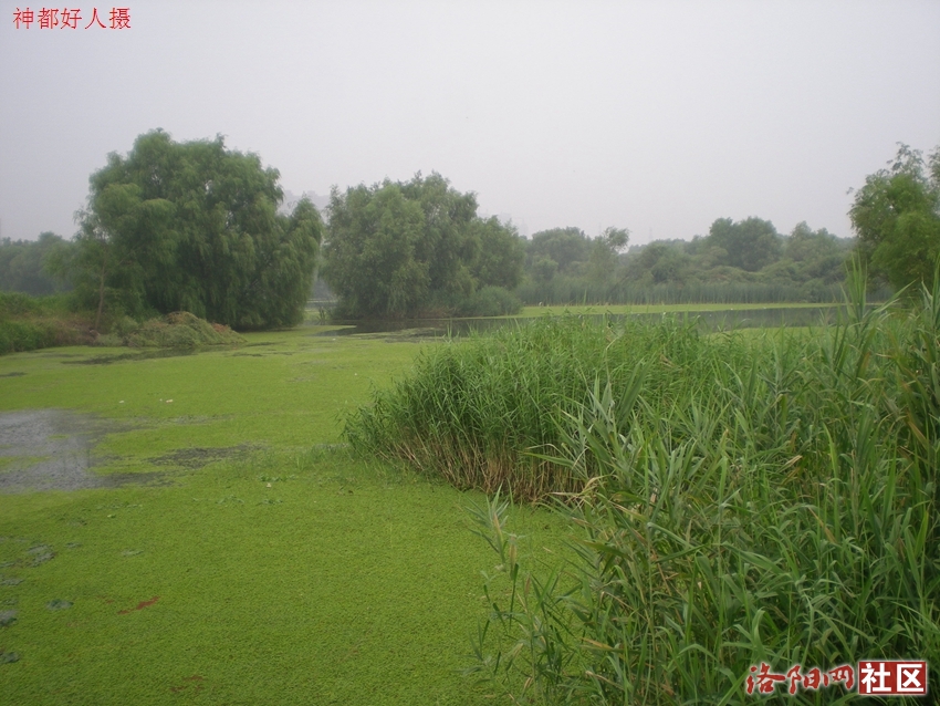 DSCN4082.JPG