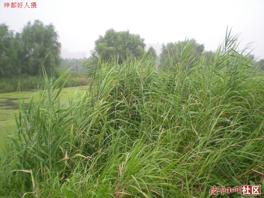 DSCN4085.JPG
