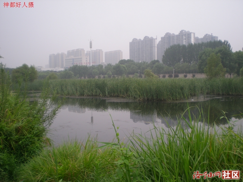DSCN4086.JPG