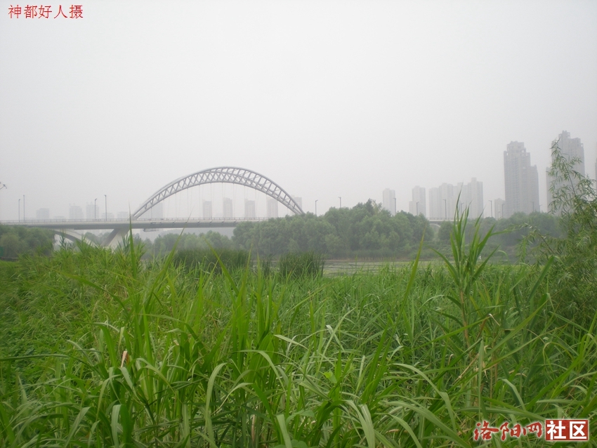 DSCN4090.JPG