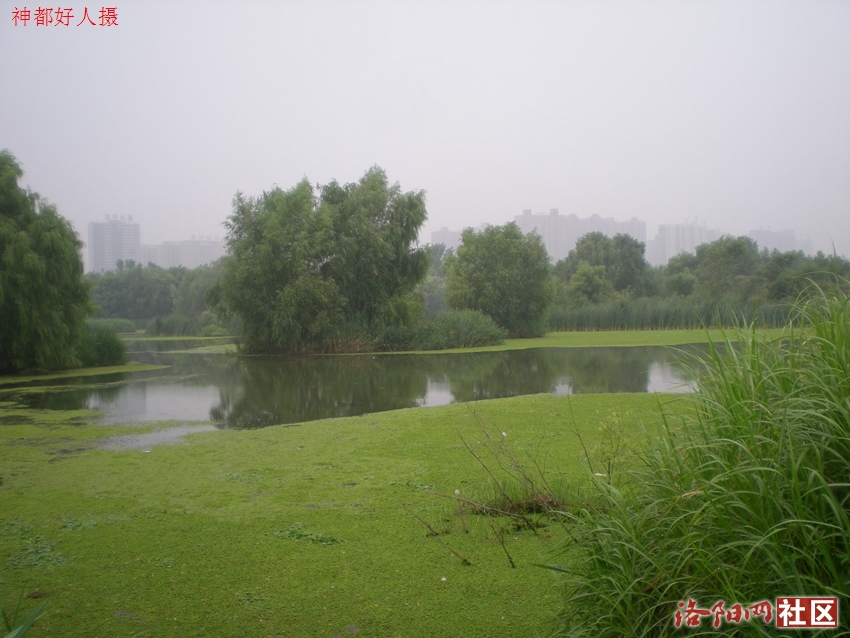 DSCN4095.JPG
