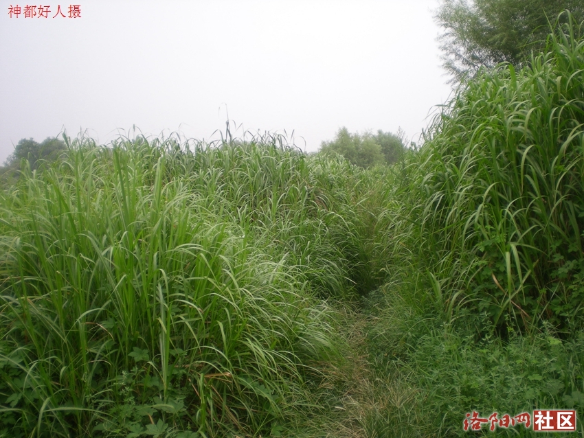 DSCN4094.JPG