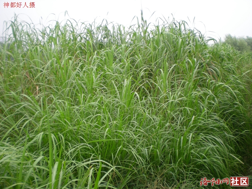 DSCN4098.JPG
