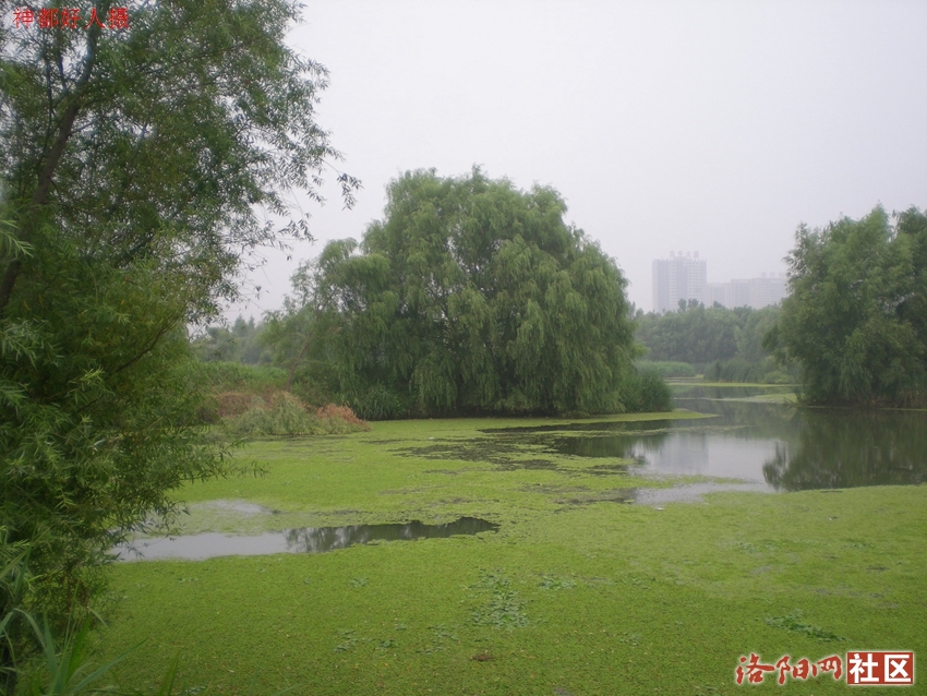 DSCN4096.JPG