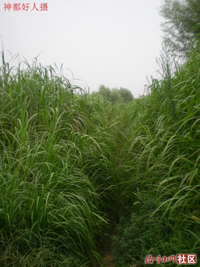 DSCN4097.JPG