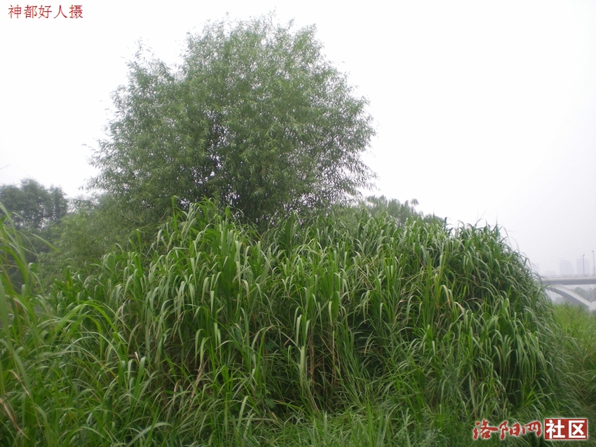 DSCN4099.JPG