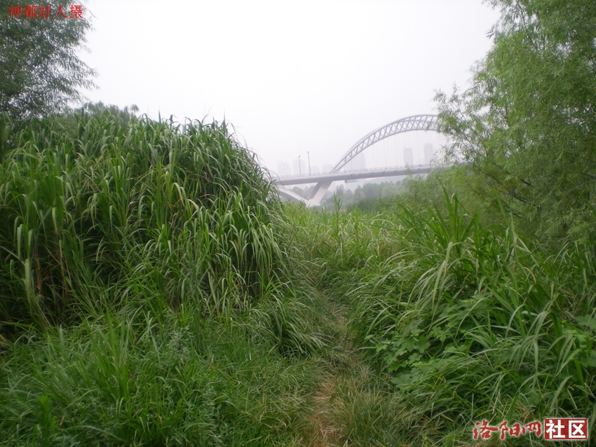 DSCN4100.JPG