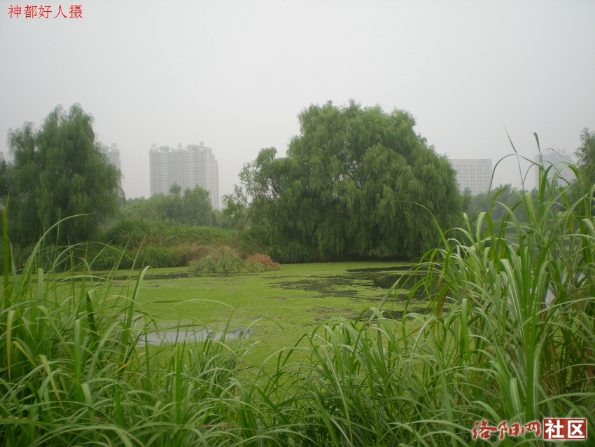 DSCN4101.JPG