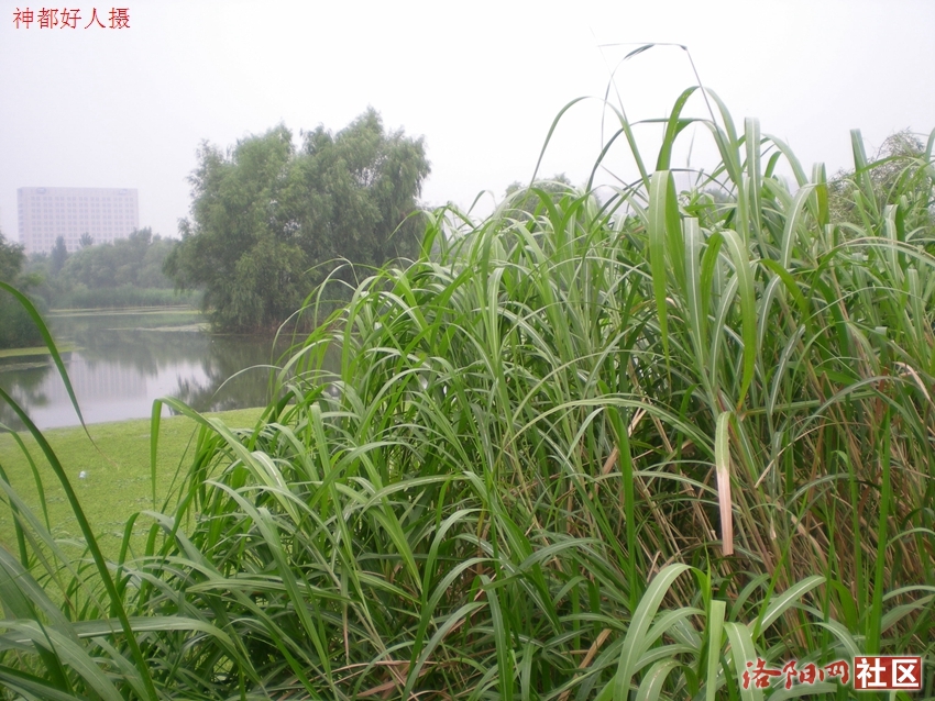 DSCN4104.JPG