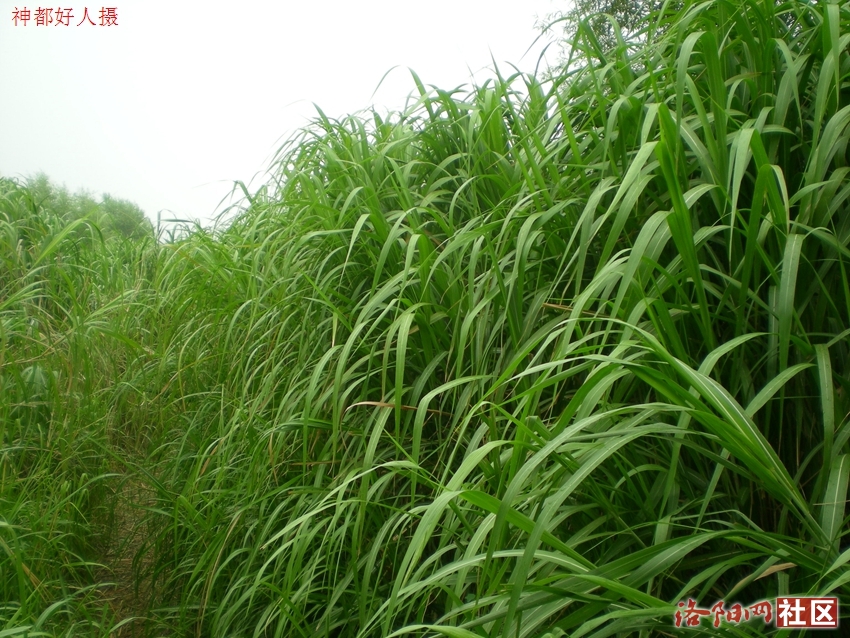 DSCN4103.JPG