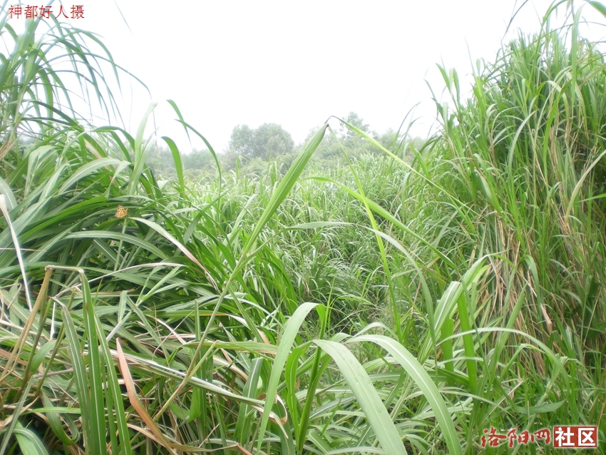 DSCN4105.JPG