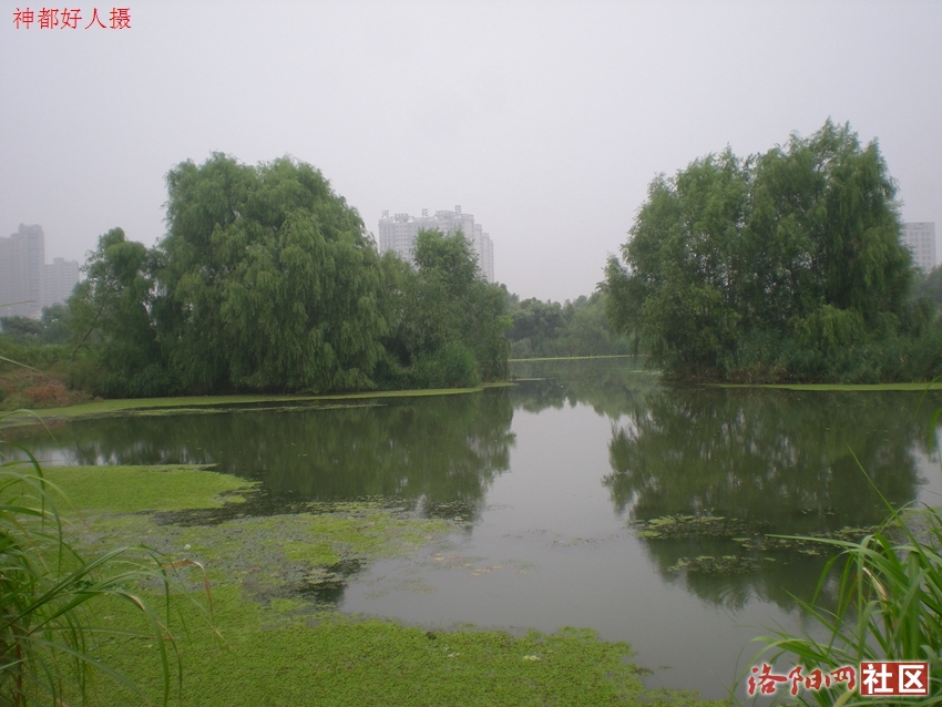 DSCN4108.JPG