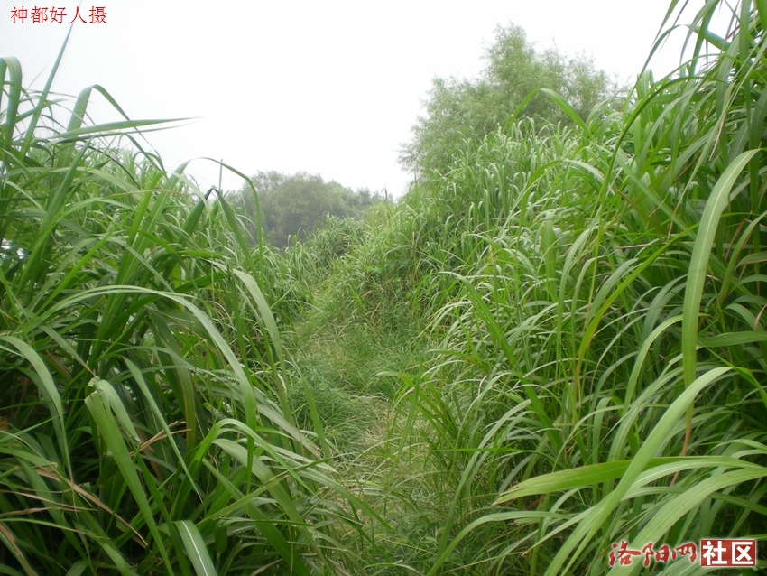 DSCN4109.JPG