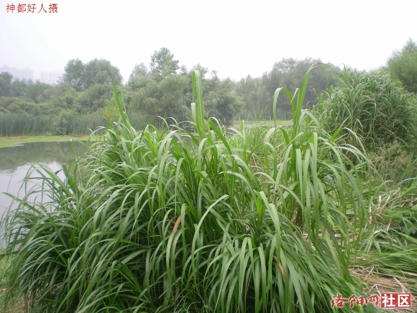 DSCN4110.JPG