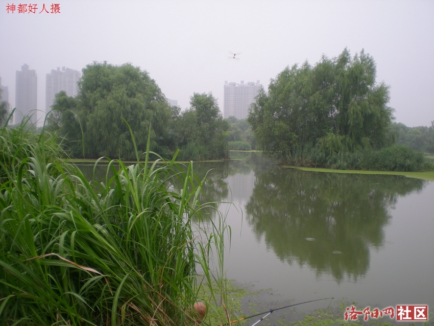 DSCN4111.JPG