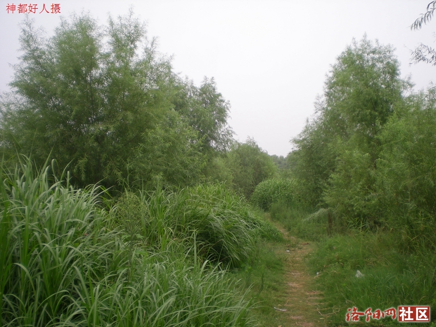 DSCN4113.JPG
