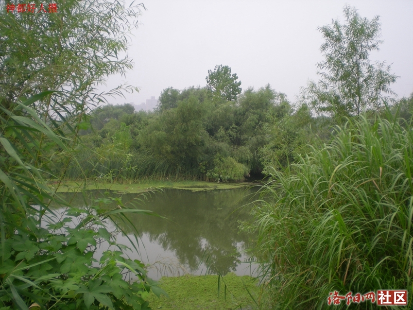 DSCN4112.JPG