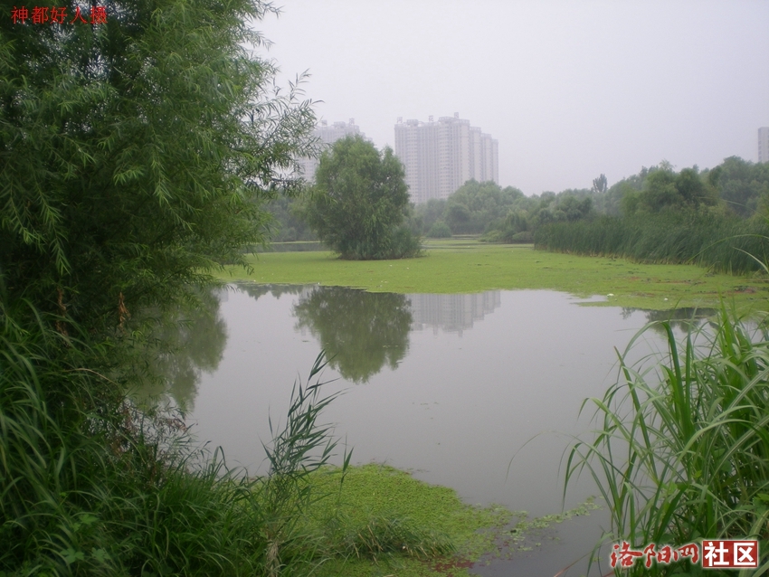 DSCN4114.JPG