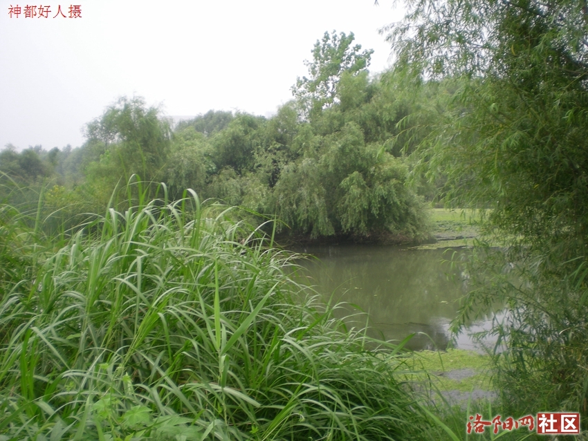 DSCN4115.JPG