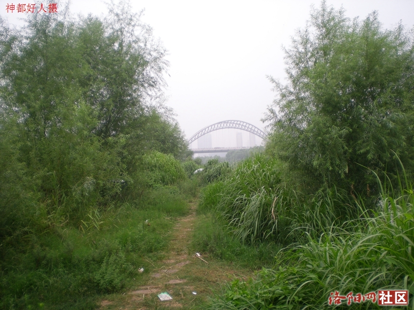 DSCN4116.JPG