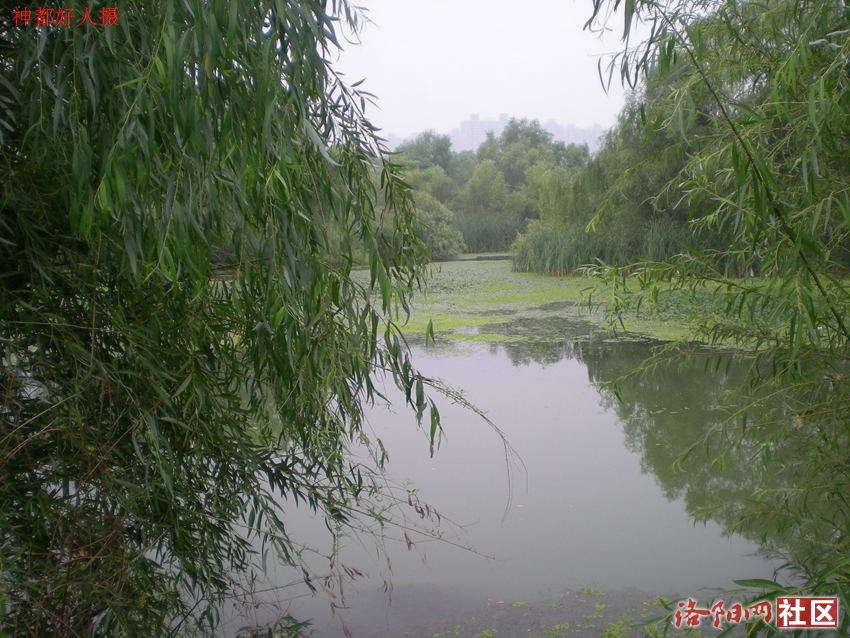 DSCN4119.JPG
