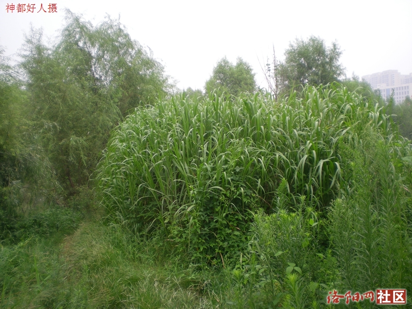 DSCN4117.JPG
