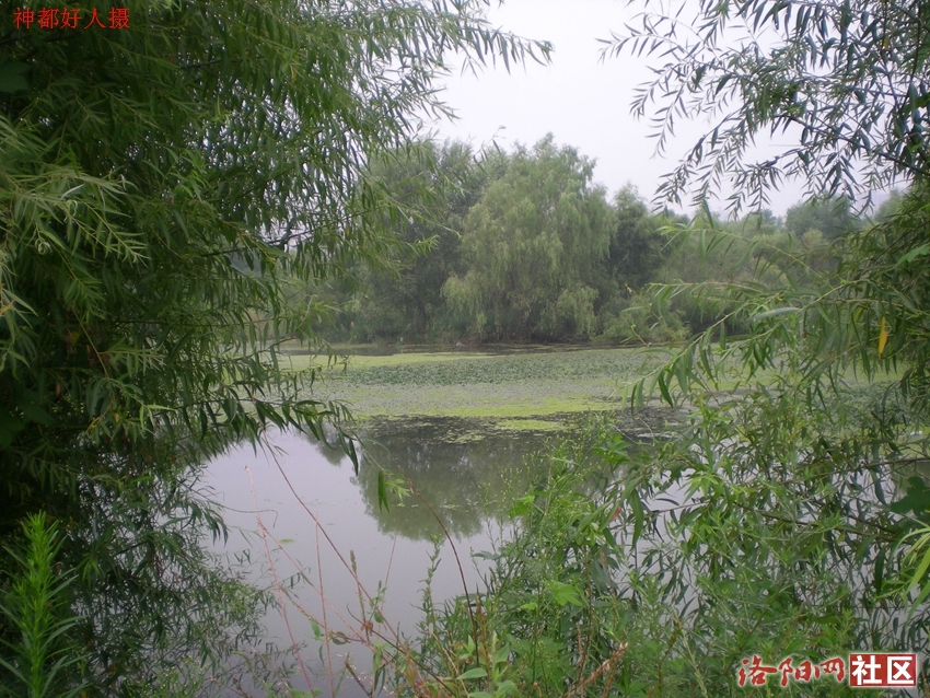 DSCN4120.JPG