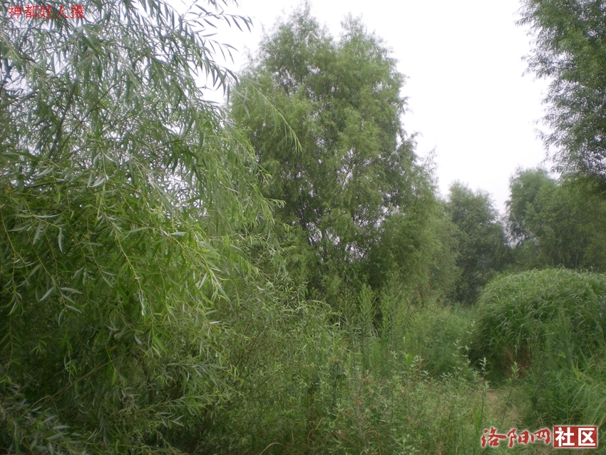 DSCN4121.JPG