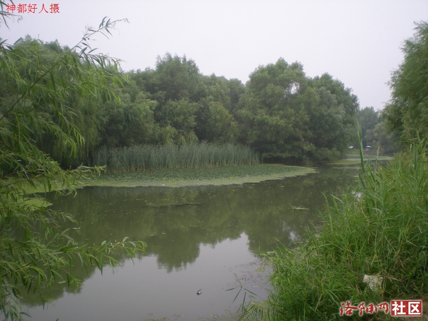 DSCN4123.JPG