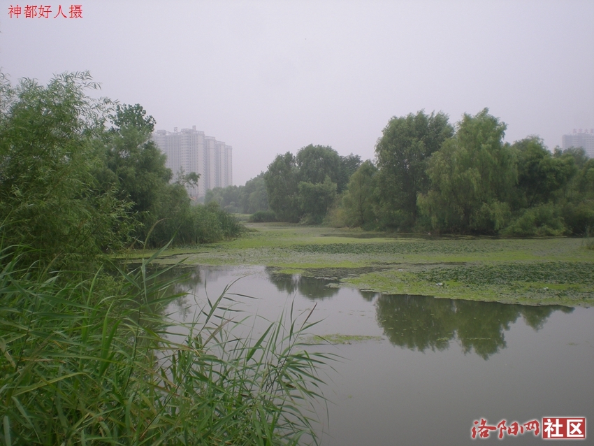 DSCN4122.JPG